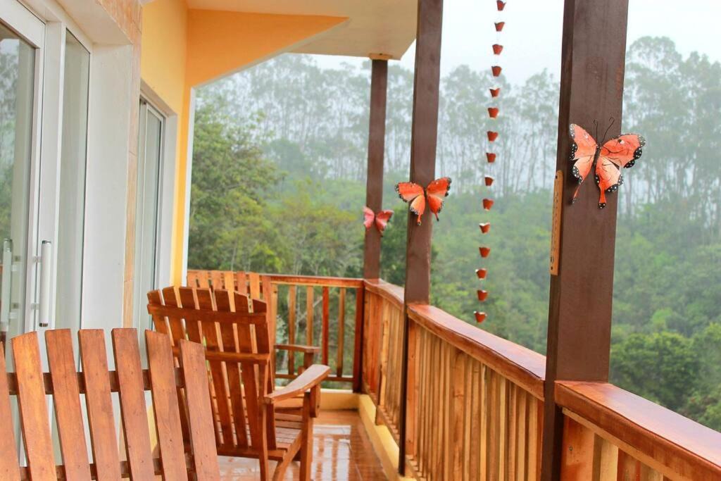 Photo of Patio Balcony in Constanza