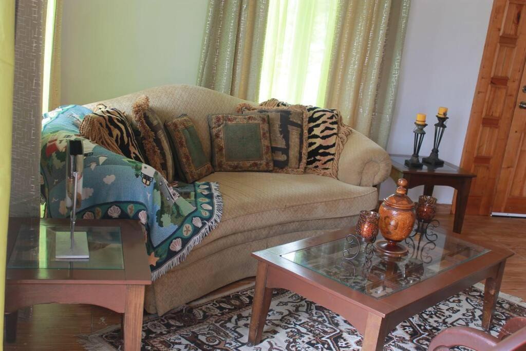 Photo of Livingroom in Constanza