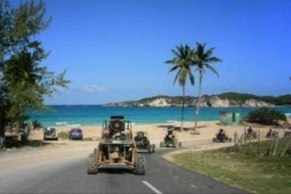 Photo of Outdoor in Miches