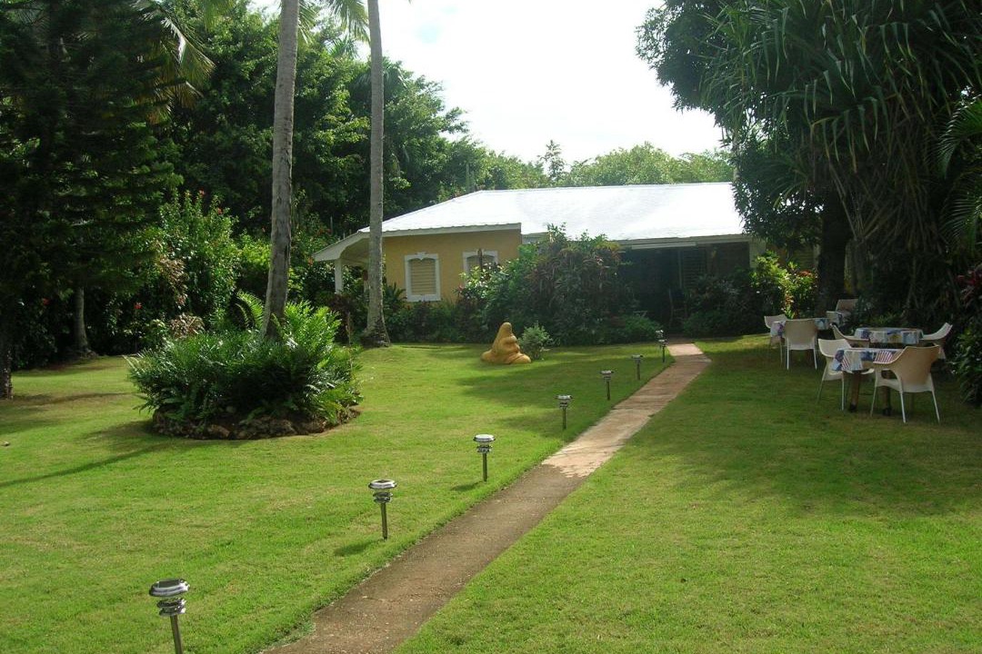 Photo of Others in Las Galeras