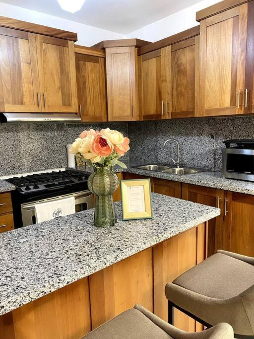 Photo of Kitchen in San Francisco de Macoris