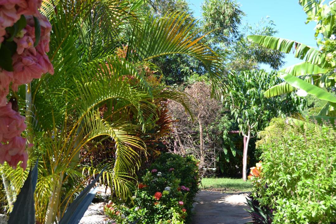 Photo of Others in La Cienaga