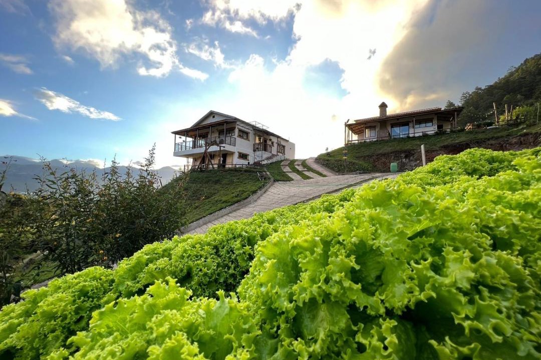 Photo of Buildings in Constanza