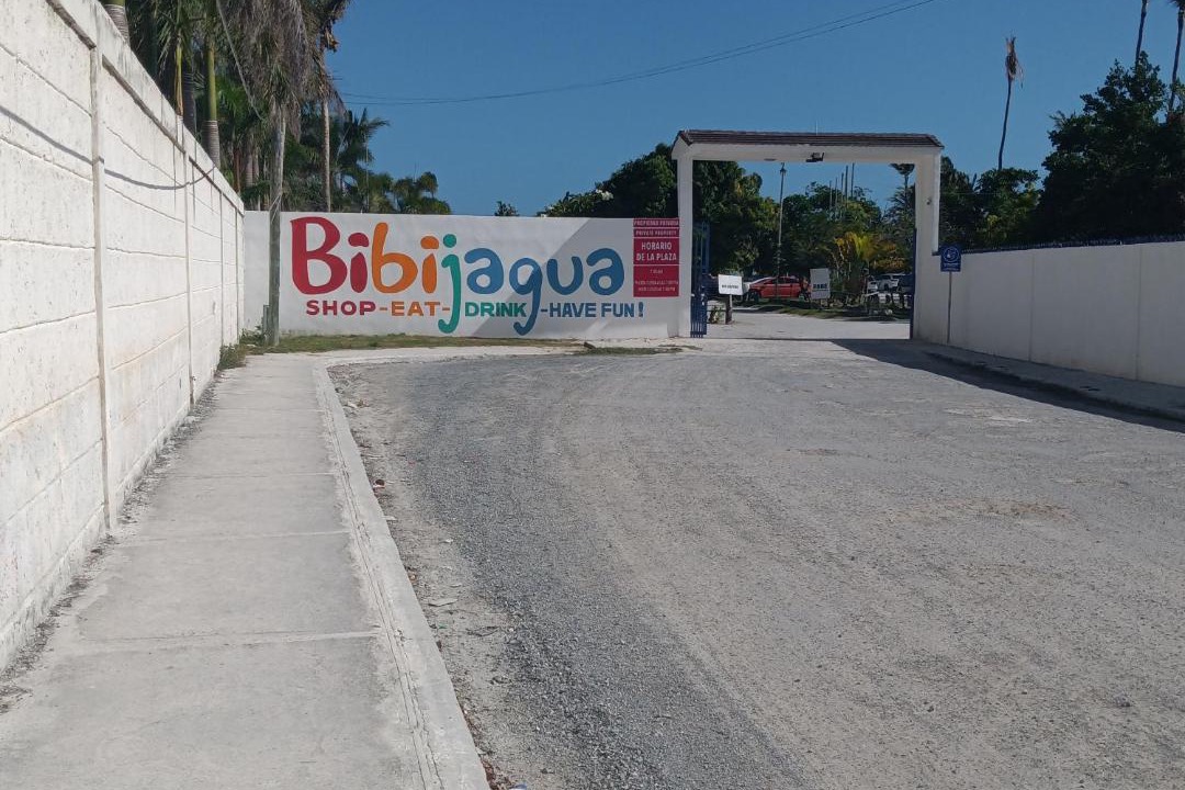 Photo of Others in Playa Bibijagua