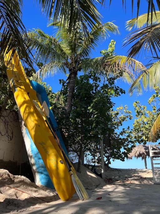 Photo of Others in Punta Rucia