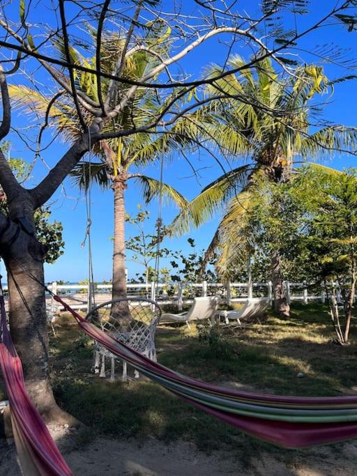 Photo of Outdoor in Punta Rucia