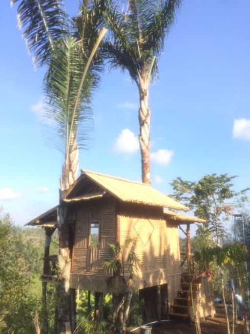 Photo of Others in Mekarsari