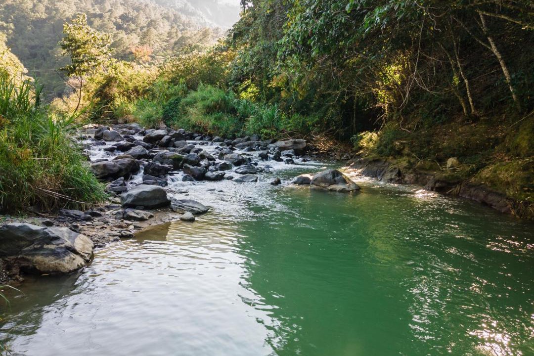 Photo of Outdoor in Jarabacoa