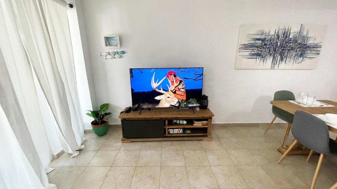 Photo of Livingroom in Playa Bibijagua