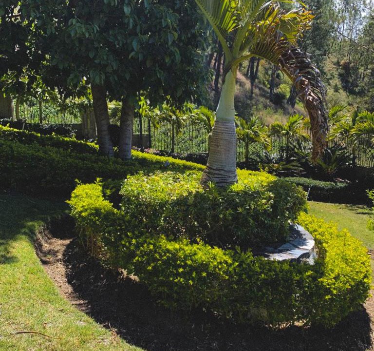 Photo of Others in Constanza