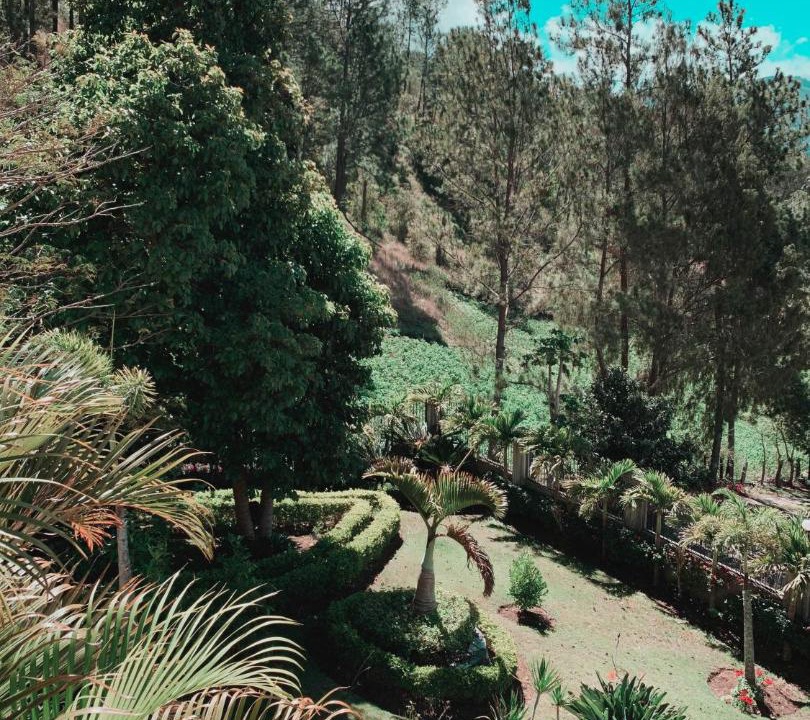 Photo of Others in Constanza