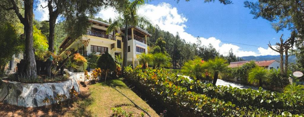 Photo of Others in Constanza