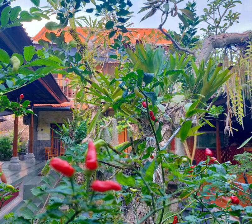 Photo of Others in Sanur Kauh