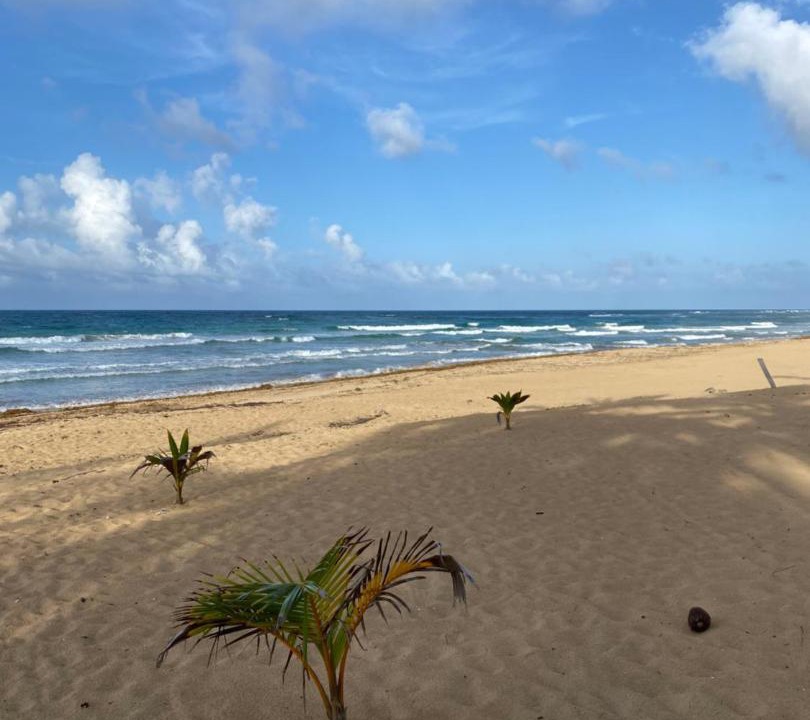 Photo of Outdoor in Punta Cana
