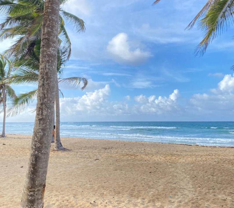 Photo of Outdoor in Punta Cana