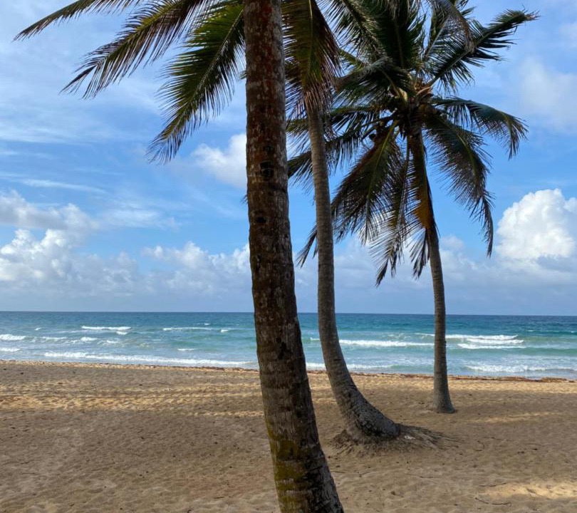 Photo of Outdoor in Punta Cana