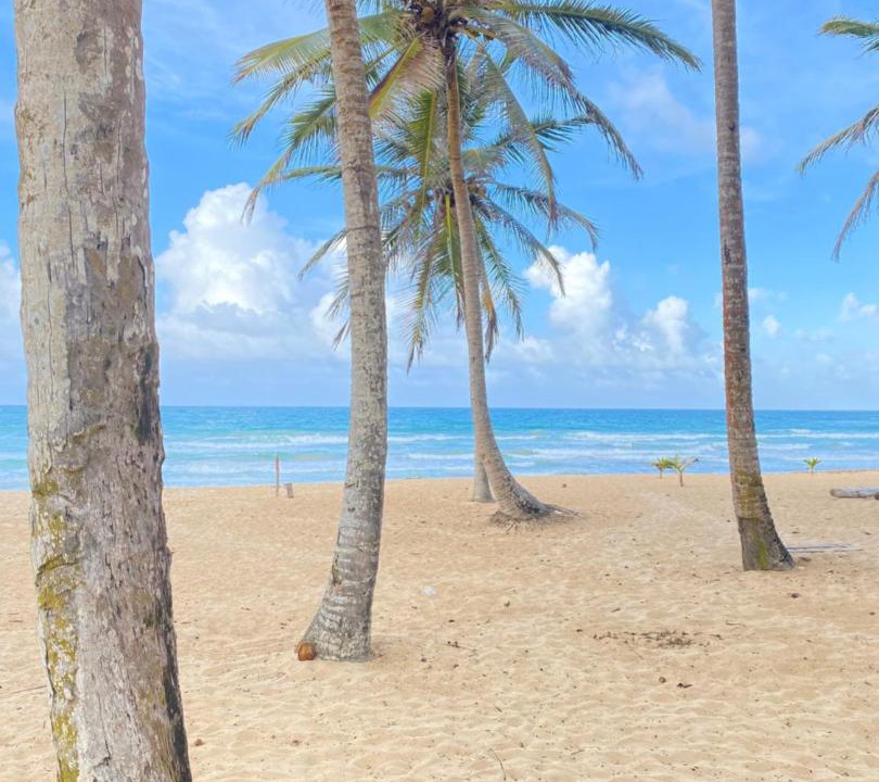 Photo of Outdoor in Punta Cana