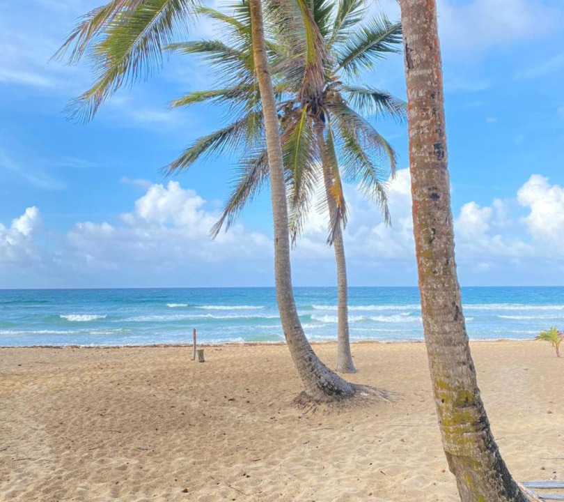 Photo of Outdoor in Punta Cana