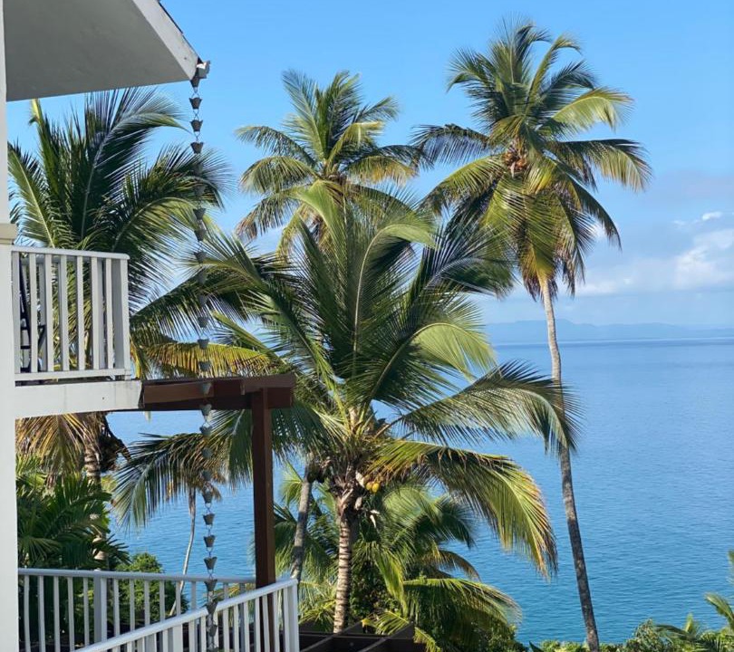Photo of Patio Balcony in Samana