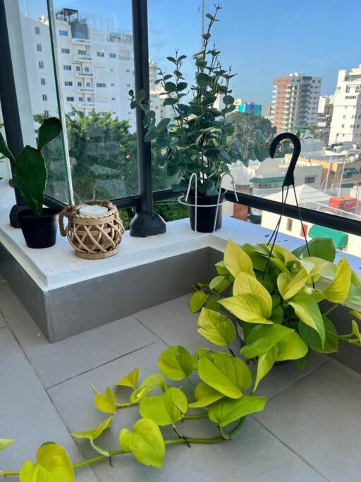 Photo of Patio Balcony in Lope De Vega