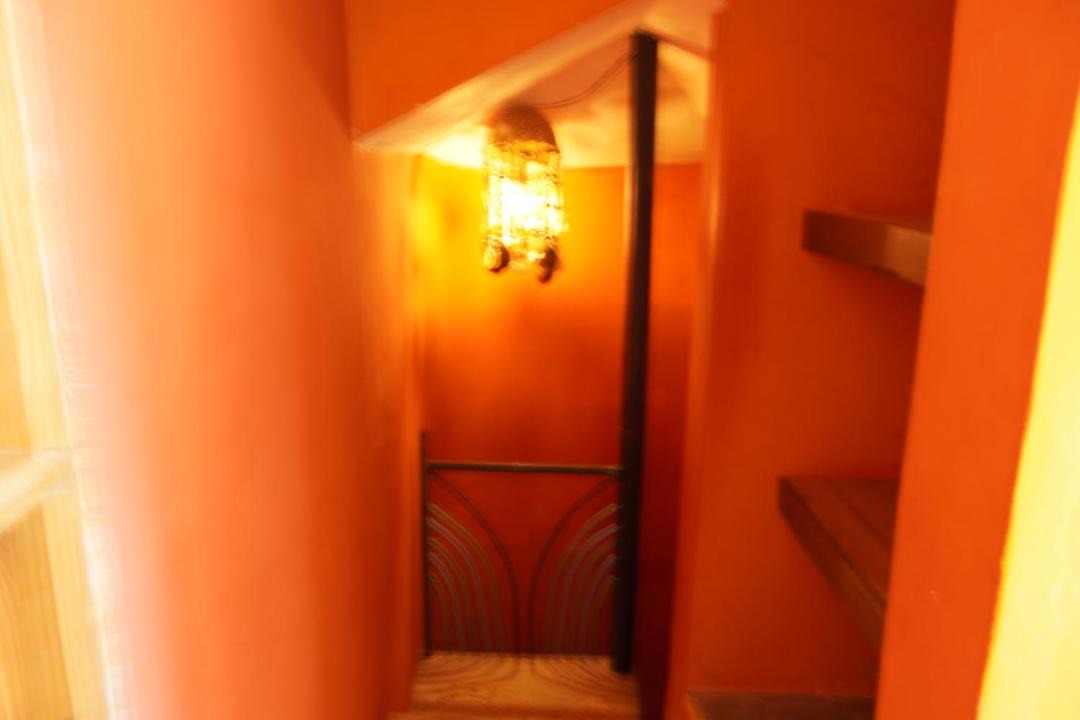 Photo of Others in Punta Rucia