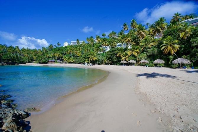 Photo of Others in Samana
