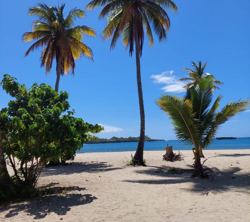 Photo of Outdoor in Puerto Plata