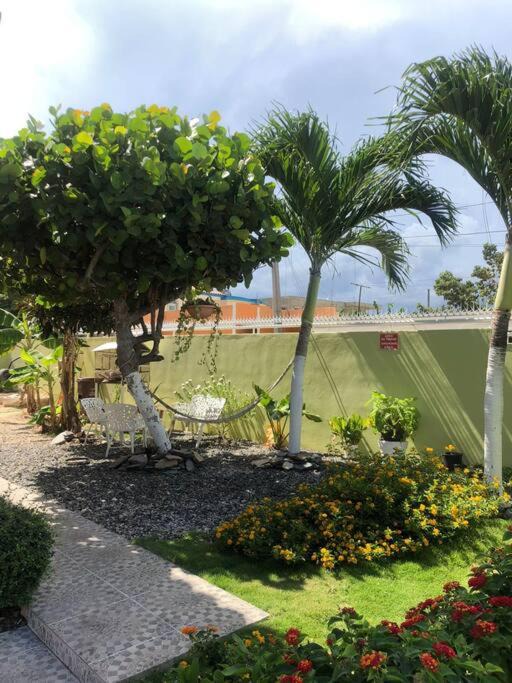 Photo of Others in Casa de Campo