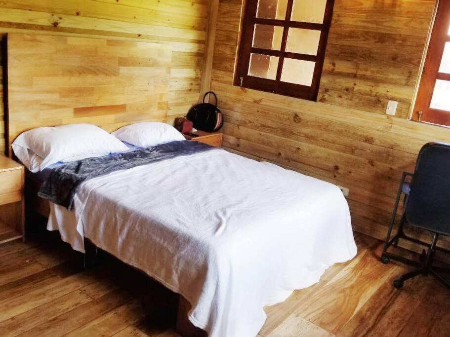 Photo of Bedroom in Constanza