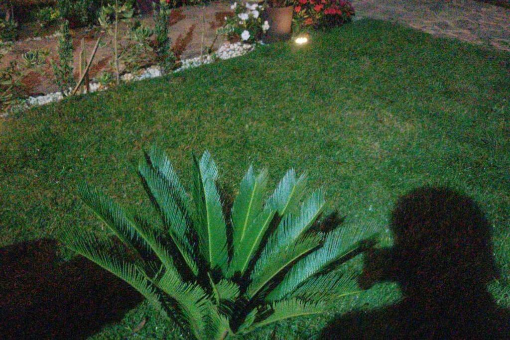 Photo of Others in Constanza