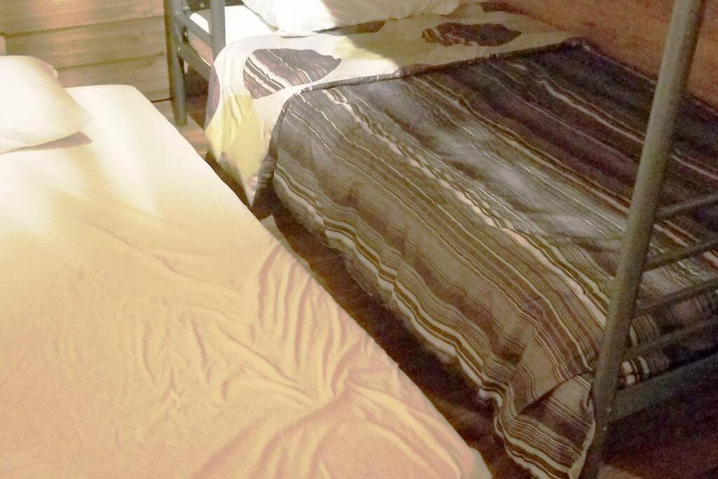 Photo of Bedroom in Constanza