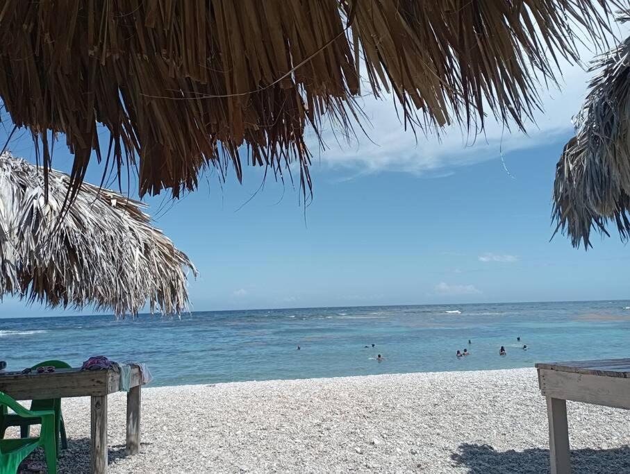 Photo of Others in Paraiso