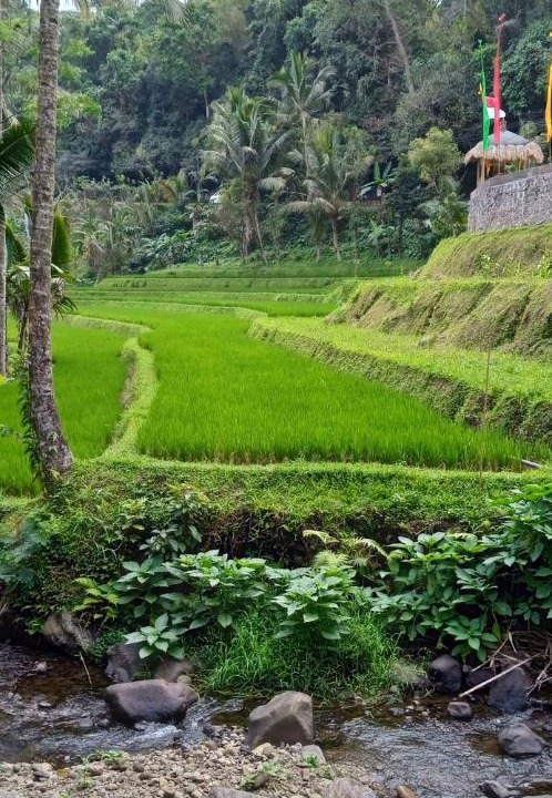 Photo of Others in Pupuan