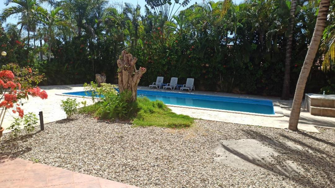 Photo of Outdoor in Playa Chiquita