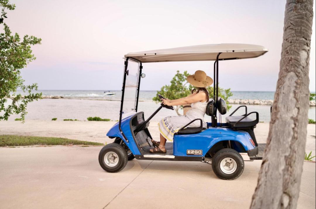 Photo of Others in Cap Cana Marina