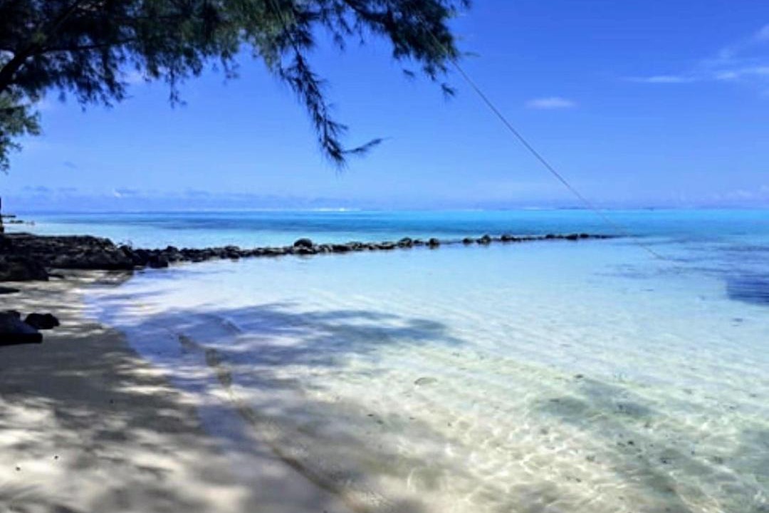 Photo of Others in Moorea-Maiao
