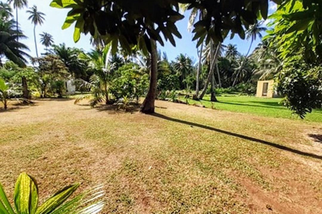 Photo of Others in Moorea-Maiao