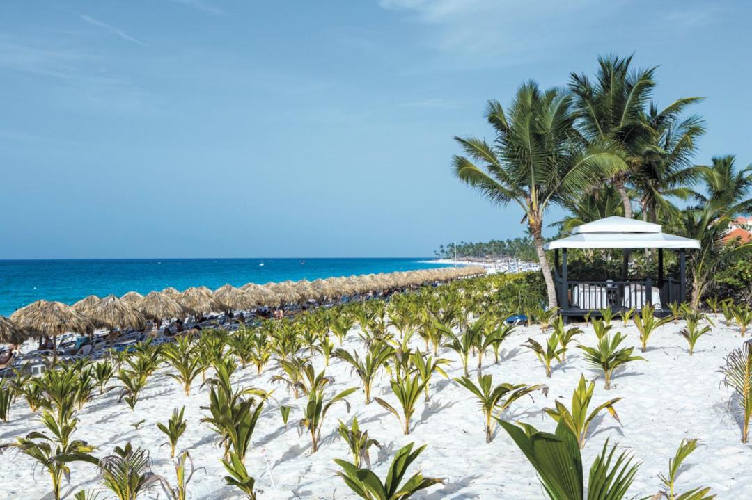 Photo of Others in Punta Cana
