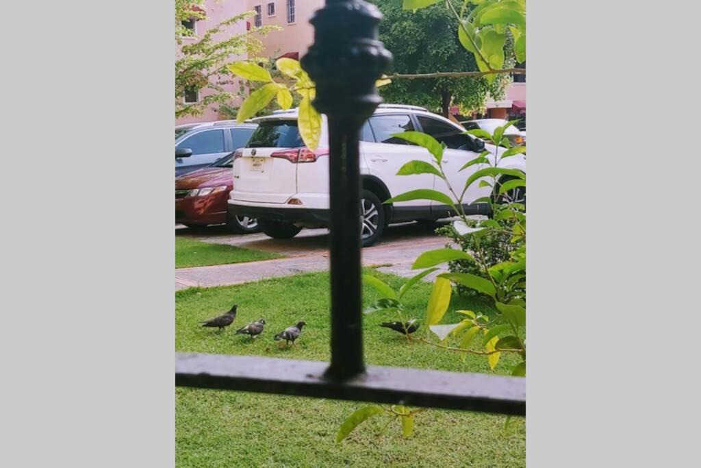 Photo of Others in Santo Domingo