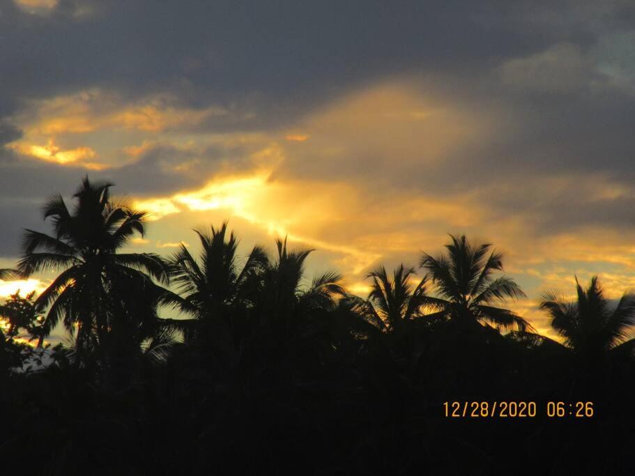 Photo of Others in Puerto Bahia