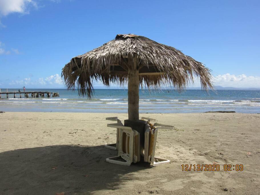 Photo of Others in Puerto Bahia