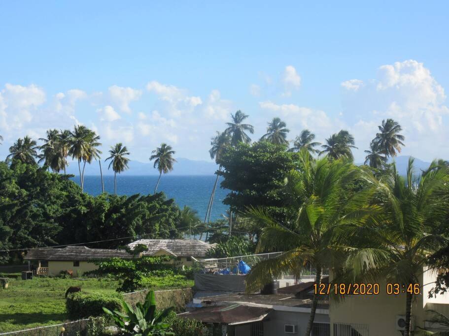 Photo of Others in Puerto Bahia