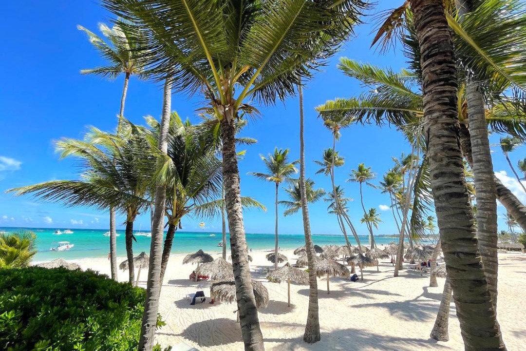 Photo of Outdoor in Bavaro