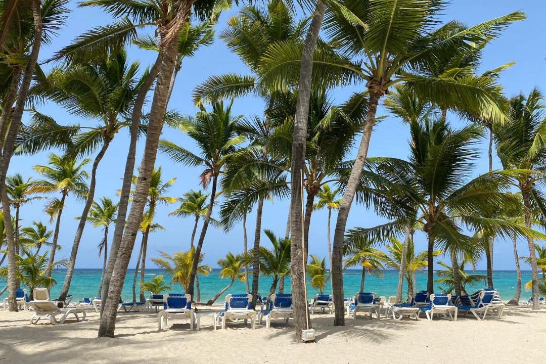 Photo of Outdoor in Bavaro