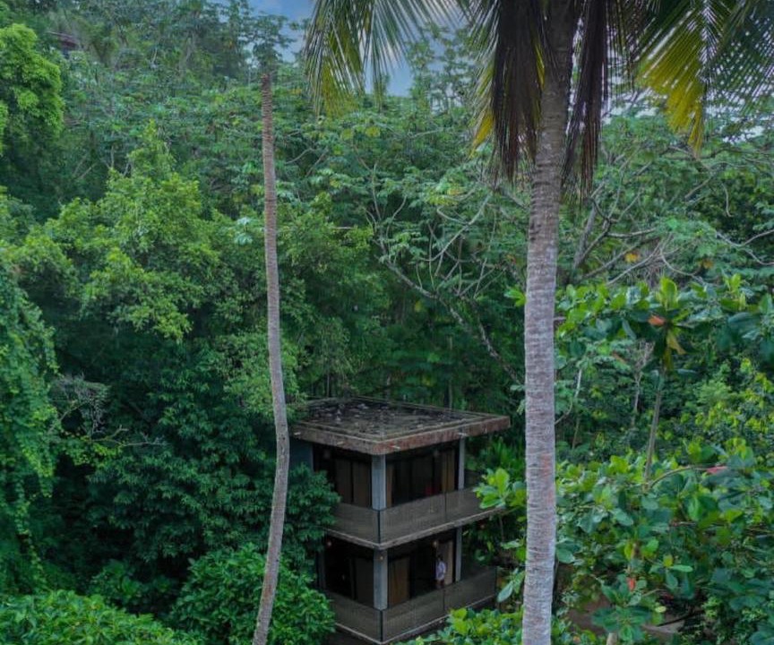 Photo of Others in Samana