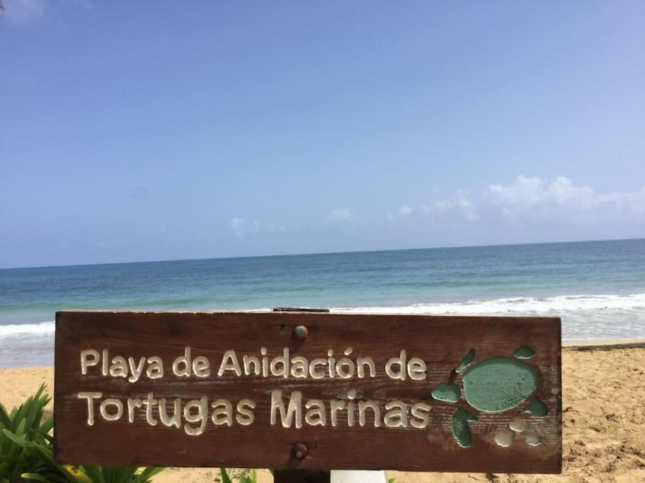 Photo of Others in Las Terrenas