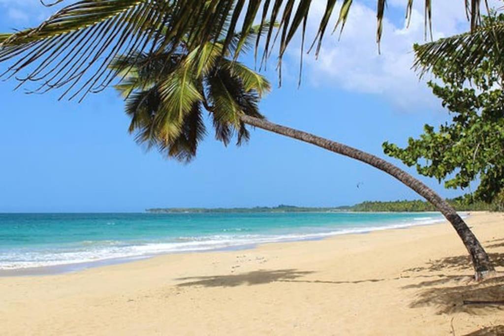 Photo of Outdoor in Las Terrenas