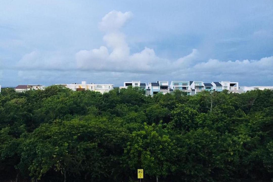 Photo of Outdoor in Punta Cana
