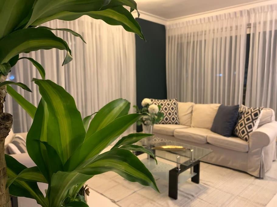 Photo of Livingroom in Ensanche Naco