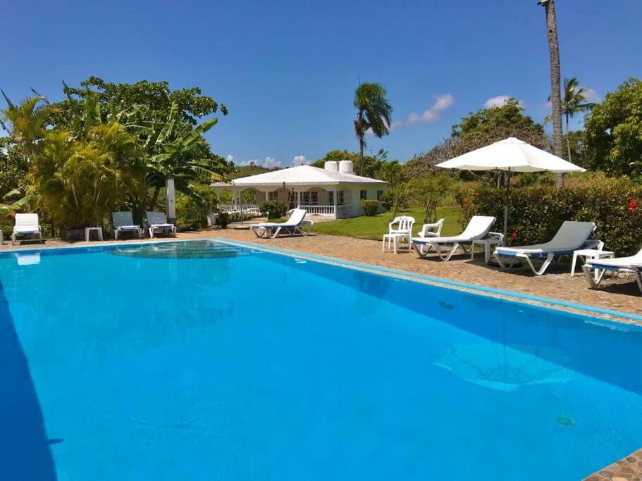 Photo of Others in Las Galeras